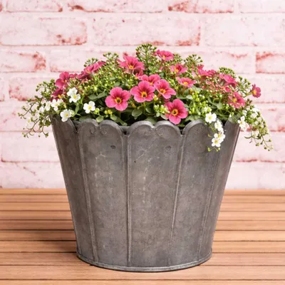 Produktbild von AltoBelli Blumentopf ROMY Groß Grau Metall 13x11 cm Übertopf