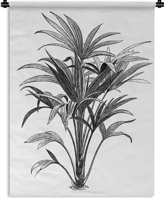 Produktbild von MuchoWow® Wandteppich Wandbehang Eine Schwarz-Weiß-Abbildung einer Pflanze 60x80 cm Tapisserie Dekoration Wandtuch - Decke - Wandtücher - Wohne