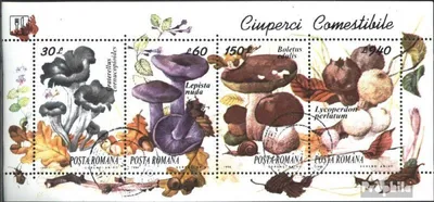 Produktbild von Briefmarken Rumänien 1994 Mi Block292 (kompl.Ausg.) gestempelt Eßbare Pilze