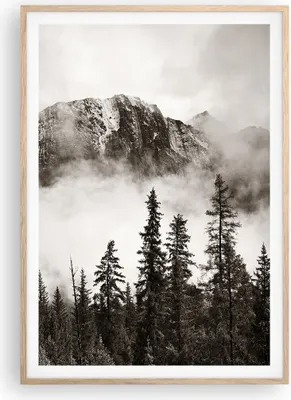 Produktbild von Gerahmtes Poster - Rahmen in heller Eiche - Nebel Berg Wald - 70x100 cm - Wand Bild - Wanddeko - Wandbilder - Kunstposter - Wandposter - Bilderrahmen - Bilder - Kunstdruck - P2NPA70x100-4936