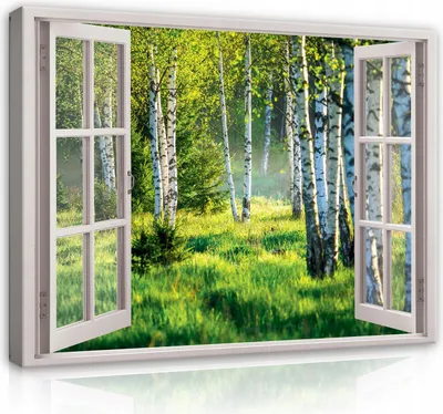 Zdjęcie produktu dla Obrazy na Płótnie Okno Obraz Las Brzozowy - 120x80 cm - Panorama Natura Krajobraz Nowoczesne Płótno Obraz XXL Iluzja Okno Kuchnia Sypialnia Pokój dzienny Wall Art Print Obraz na Płótnie Gotowy Do Powieszenia