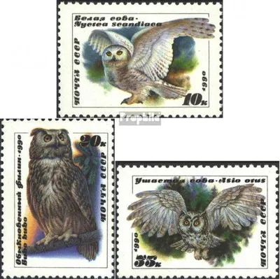 Produktbild von Briefmarken Sowjetunion 1990 Mi 6063-6065 (kompl.Ausg.) gestempelt Eulen