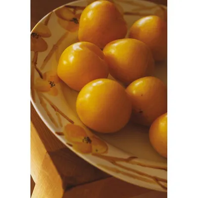 Produktbild von Pebeo Porcelaine 150, 45 ml, 36 Bernsteinbraun