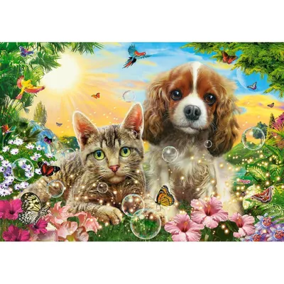 Produktbild von CASTORLAND Best Buddies Puzzle 500 Teile
