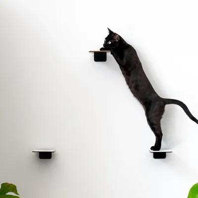 Produktbild von Klimwand für Katzen - Wandkatzentreppe Set von 3 - modernes Design - Metall - Kletterwand Katzentreppe - Kletterleiter - Katzentreppe - Katzenleiter klettern - S 16 x 12 cm - schwarz - Kork