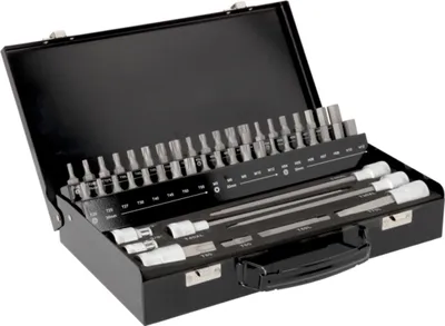 Produktbild von Bahco BE5049T, 49 Stück(e), Hex (metrisch), Torx, T20, T25, T27, T30, T40, T45, T50, T55, T60, 4,5,6,7,8,10,12 mm, Stahl, 320 mm