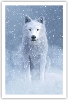 Produktbild von Poster - Poster ohne Rahmen - Weiß Wolf Schnee - 61x91,5 cm - Wand Bild - Wanddeko - Wandbilder - Kunstposter - Wandposter - Bilder - Kunstdruck - Wanddekoration - Wandbild - P2XPA61x91-5006