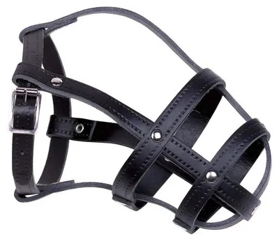 Immagine prodotto di Museruola in cuoio Nobby taglia 6; 26/44 cm, nera