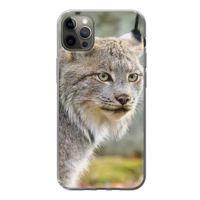 Produktbild von MuchoWow® Handyhülle Schutzhülle Hülle für iPhone 12 Pro Max Luchs - Wald - Grau Silikon Softcase Handy Hülle - Hartschale