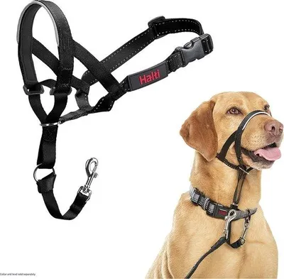 Produktbild von Unyqoos® Halti Kopfhalfter Größe 3, Schwarz – verstellbar, Anti-Zug mit gepolstertem Neopren-Nasenriemen, leicht & reflektierend, für mittelgroße Hunde