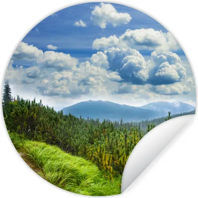 Produktbild von MuchoWow® - Wand Kreis - Wand Bild - Foto Tapete - Selbstklebende - Wohnzimmerdekoration - Wand Dekoration - Kinderzimmer