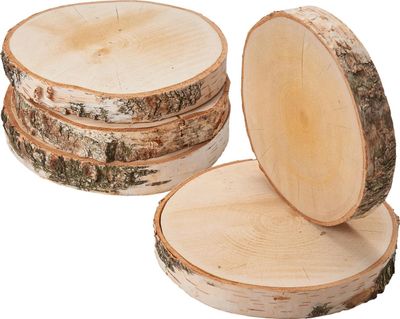 Grosse Baumscheiben 5 Stk. Dekoholz Holzscheiben Holzplatten 20 cm