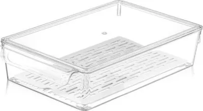 Immagine prodotto di Organizzatore da frigo MICHELINO con coperchio e setaccio larghezza 20 cm, altezza 7 cm