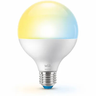 Immagine prodotto di WiZ Globe 75W G95 E27
