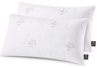 Produktbild von 2-er Pack Kopfkissen Air Softfill Collection SWAN, 40x80 cm