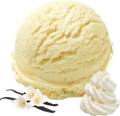 Zdjęcie produktu dla Wegańskie lody waniliowe w proszku bez cukru, bez laktozy 1 kg