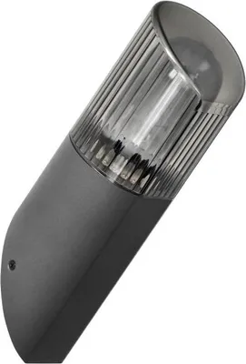 Productafbeelding van PEONIA Wandlamp, tuinlamp, E27, IP54, schuin, zwart