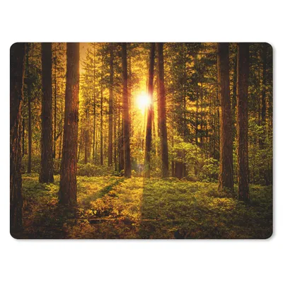 Produktbild von MuchoWow® Mauspad Mousepad Wald - Sonne - Bäume - Natur - Sonnenuntergang 23x19 cm - Mousepads - Maus Mat - Pad - Mausunterlage - Schreibtischunterlage - Mauspad