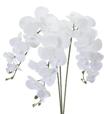 Künstliche Orchideenstiele, 3er-Set, 104 cm, naturweiß