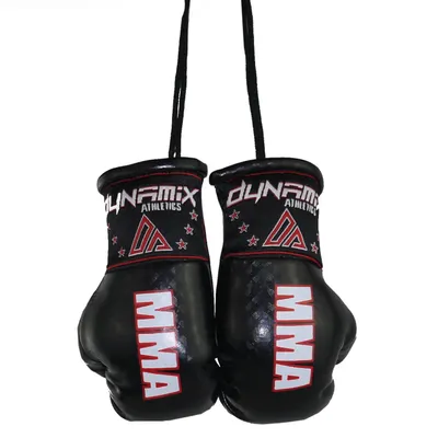 Produktbild von Dynamix Athletics Autospiegel Mini Boxhandschuhe MMA