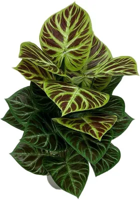 Produktbild von Unyqoos Realistische Kunstpflanze 85 cm mit Topf für stilvolle Innenraumdekoration