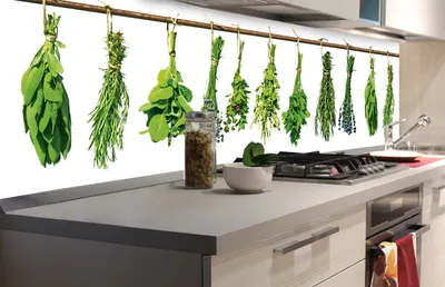 Produktbild von Küchenrückwand Folie selbstklebend KRÄUTER 180 x 60 cm - Klebefolie - Dekofolie - Spritzschutz für Küche -