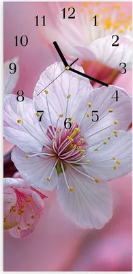 Produktbild von Wanduhr aus Glas mit Motiv Kirschblüten- 30 x 60 cm - inkl. Aufhängesystem