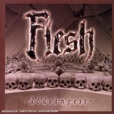 Produktbild von Flesh - Dodsangest CD
