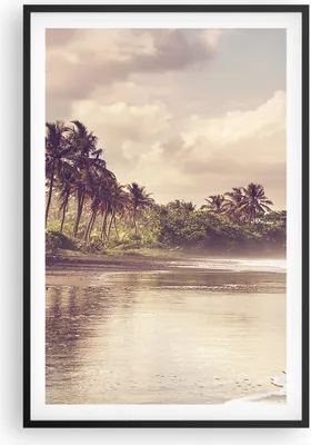 Produktbild von Gerahmtes Poster - Schwarzer Rahmen - Palmen Strand Wasser - 61x91,5 cm - Wand Bild - Wanddeko - Wandbilder - Kunstposter - Wandposter - Bilderrahmen - Bilder - Kunstdruck - P2BPA61x91-4917