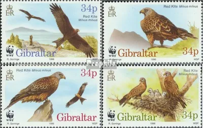 Produktbild von Briefmarken Gibraltar 1996 Mi 774-777 (kompl.Ausg.) postfrisch Naturschutz