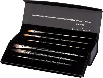 Productafbeelding van Set van 6 DA VINCI Special Edition CESC FARRE penselen
