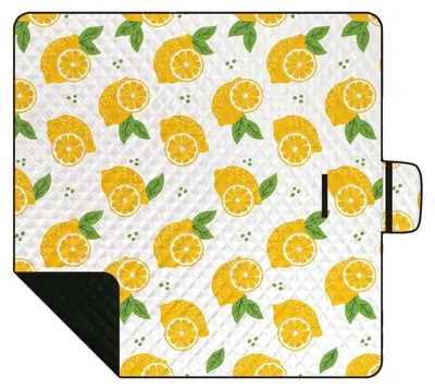 Imagen del producto de Manta de picnic impermeable, plegable y ligera
