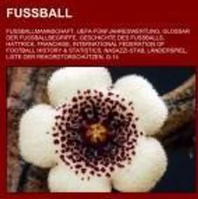 Produktbild von Fußball