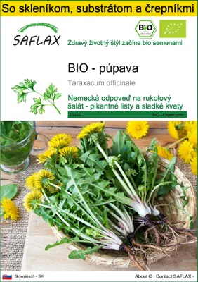 Obrázok produktu pre SAFLAX Kultivačný set - BIO - púpava - Taraxacum officinale - 400 Semená - S mini skleníkom, pestovateľským substrátom a 2 črepníkmi