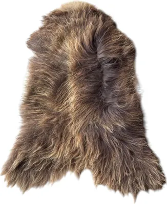 Produktbild von Island Lammfell – Ganzes Schaffell, Langhaarig Mittelbraun mit Goldbraunen Akzenten 100-120 cm