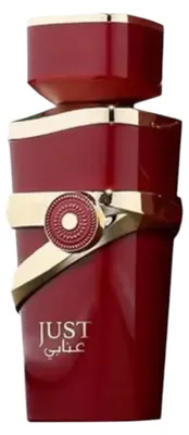 Produktbild von Fragrance World Just Anabi Eau de Parfum 100ml