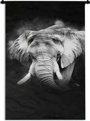 Produktbild von MuchoWow® Wandteppich Wandbehang Elefant im Nebel vor schwarzem Hintergrund - schwarz und weiß 90x135 cm Tapisserie Dekoration Wandtuch - Baumwolle - Wandskulptur