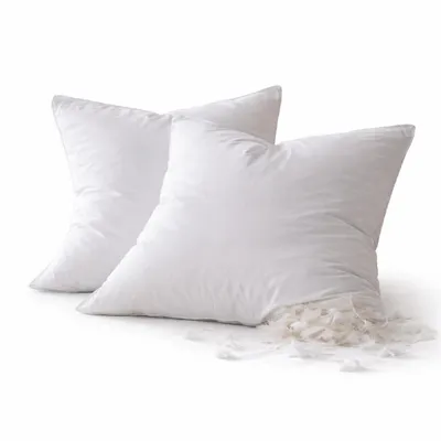 Image de Lot de 2 oreillers moelleux Plumettes Percale de Coton - 60 x 60 - 476
