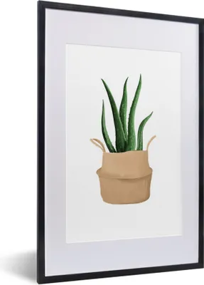 Produktbild von MuchoWow® MuchoWow® Gerahmtes Poster Pflanze - Aloe Vera - Weiß 40x60 cm - Poster mit zchwarzem Bilderrahmen - Poster in Rahmen