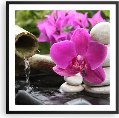 Produktbild von Gerahmtes Poster - Schwarzer Rahmen - Orchidee Bambus Dekoration Spa - 60x60 cm - Wand Bild - Wanddeko - Wandbilder - Wandposter - Bilderrahmen - Bilder - Kunstdruck - Wandbild - P2BAC60x60-2666