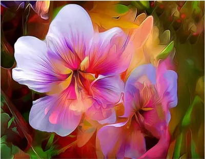 Image de Vikpap KTL7248 - Peinture par numéros, toile 40 × 30 cm - Fleurs magiques