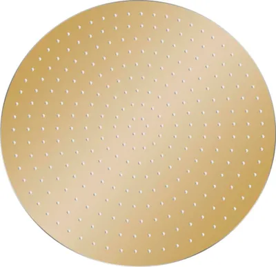 A round, golden showerhead with many small holes is shown against a white background.