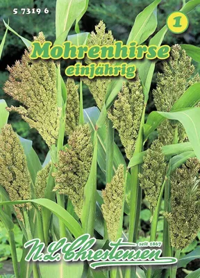 Produktbild von enhirse | Blumensamen von N.L. Chrestensen