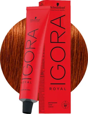 Produktbild von Schwarzkopf Igora Royal 6-77 Extra Kupfer-Dunkelblond 60ml