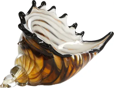 Produktbild von Light & Living - Ornament MUSCHEL - 28x12x16cm - Braun