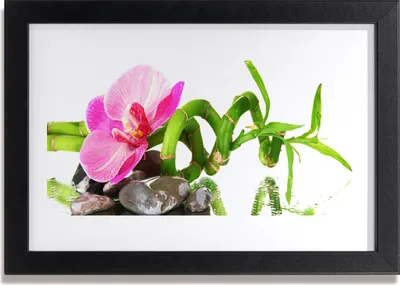 Produktbild von Bild 30x20 MDF-Rahmen Wandkunst Natur Blume Pflanze