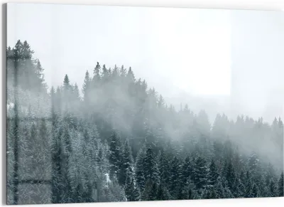 Produktbild von DEQORI Glasbild Echtglas 90x60 cm 'Nebel über Baumwipfeln' Wandbild Bild modern Deko