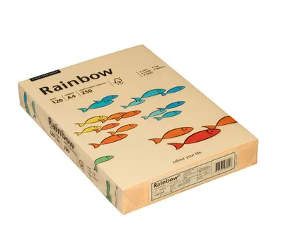 Immagine prodotto di Rainbow 88042280 Rainbow Papier chamois 120g