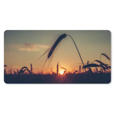 Produktbild von MuchoWow® Schreibtischunterlage Gras - Herbst - Sonnenuntergang - Jahreszeiten - Landschaft 80x40 cm - XXL Mauspad - Gaming Mauspad