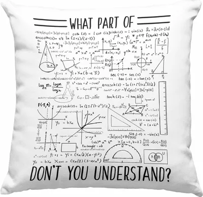 Produktbild von Trendation - Lustiges Geschenk Welchen Tell Von Verstehst du Nicht Deko-Kissen mit Füllung 40x40 Mathematiker Physiker Mathelehrer Geschenkidee (Rosa)